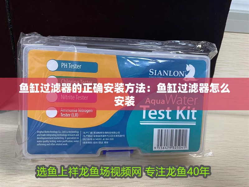 魚缸過濾器的正確安裝方法：魚缸過濾器怎么安裝