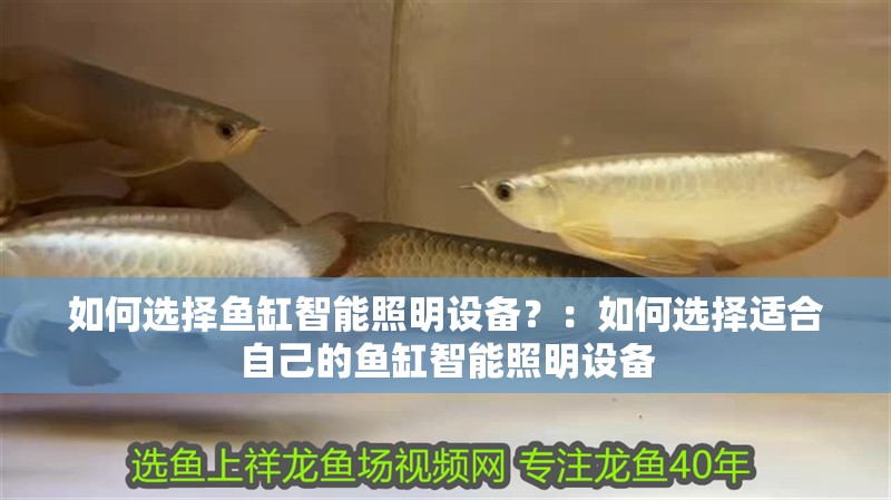 如何選擇魚缸智能照明設備？：如何選擇適合自己的魚缸智能照明設備