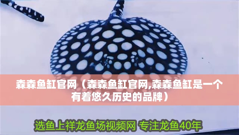 森森魚缸官網(wǎng)（森森魚缸官網(wǎng),森森魚缸是一個有著悠久歷史的品牌）
