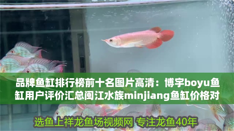 品牌魚缸排行榜前十名圖片高清：博宇boyu魚缸用戶評價匯總閩江水族minjiang魚缸價格對比