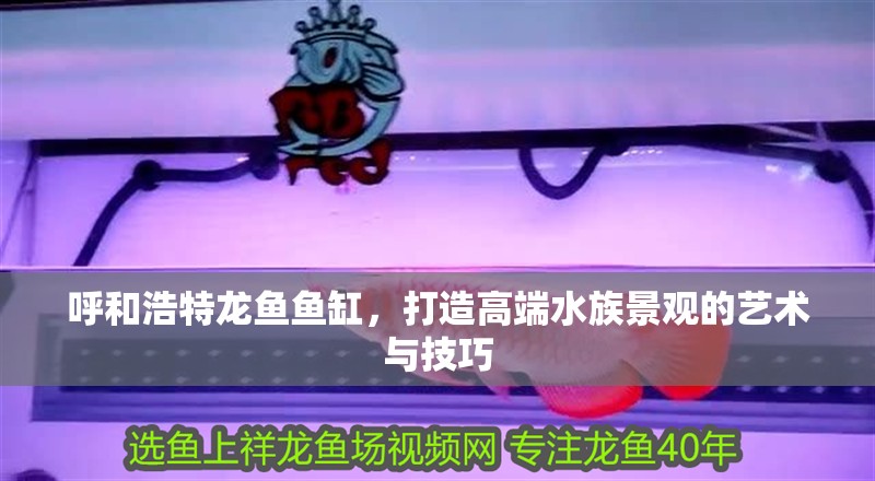 呼和浩特龍魚魚缸，打造高端水族景觀的藝術與技巧 呼和浩特龍魚魚缸，打造高端水族景觀的藝術與技巧 魚缸百科