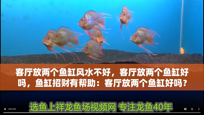 玻璃做魚缸怎么粘才牢固:如何自制玻璃魚缸 客廳放兩個(gè)魚缸風(fēng)水不好,客廳放兩個(gè)魚缸好嗎,魚缸招財(cái)有幫助:客廳放兩個(gè)魚缸好嗎? 魚缸百科 客廳放兩個(gè)魚缸風(fēng)水不好,客廳放兩個(gè)魚缸好嗎,魚缸招財(cái)有幫助:客廳放兩個(gè)魚缸好嗎? 客廳放兩個(gè)魚缸風(fēng)水不好,客廳放兩個(gè)魚缸好嗎,魚缸招財(cái)有幫助:客廳放兩個(gè)魚缸好嗎? 魚缸百科