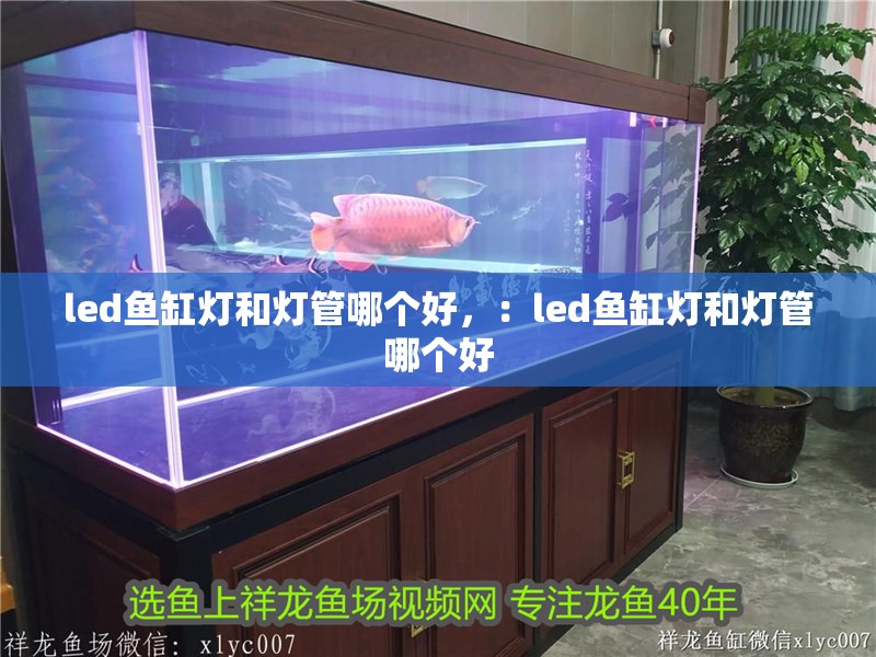led魚缸燈和燈管哪個好，：led魚缸燈和燈管哪個好