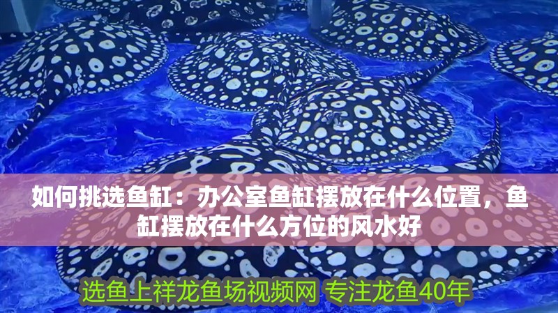 如何挑選魚缸：辦公室魚缸擺放在什么位置，魚缸擺放在什么方位的風水好