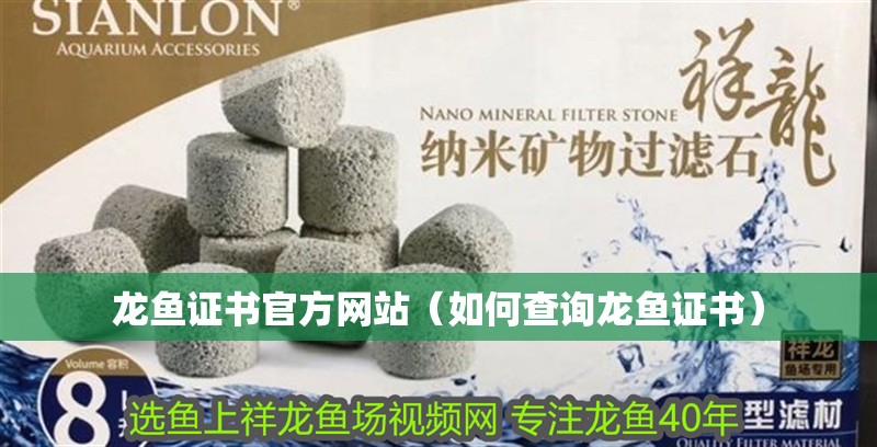 龍魚(yú)證書(shū)官方網(wǎng)站（如何查詢龍魚(yú)證書(shū)）