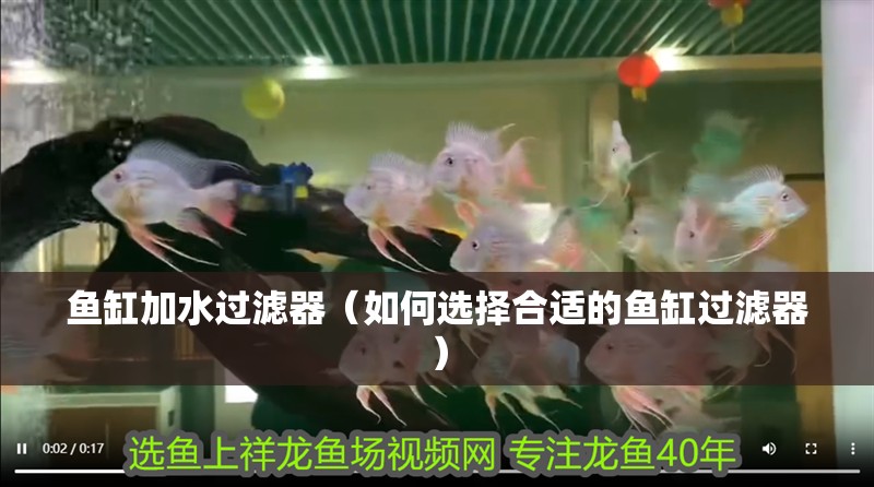 魚缸加水過(guò)濾器（如何選擇合適的魚缸過(guò)濾器）