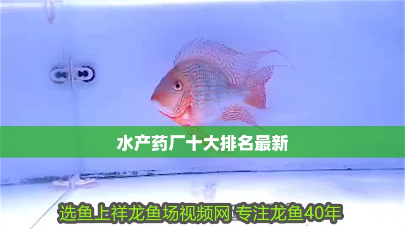 水產藥廠十大排名最新