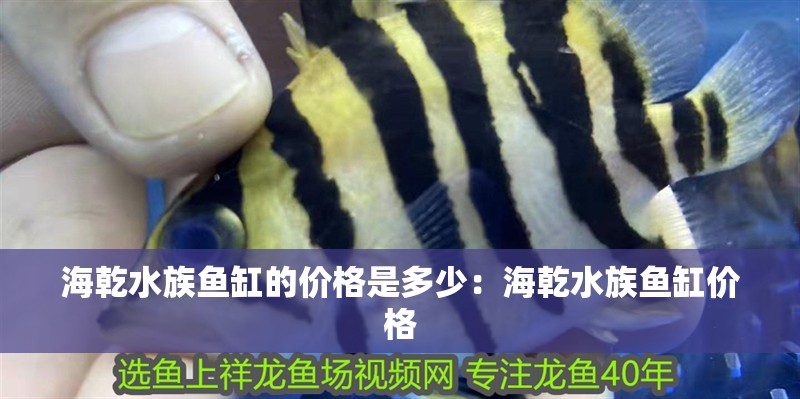海乾水族魚缸的價(jià)格是多少：海乾水族魚缸價(jià)格