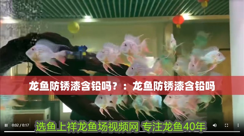龍魚防銹漆含鉛嗎？：龍魚防銹漆含鉛嗎