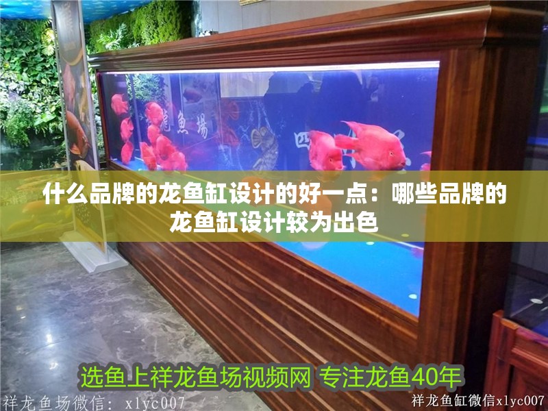 什么品牌的龍魚缸設計的好一點：哪些品牌的龍魚缸設計較為出色 什么品牌的龍魚缸設計的好一點：哪些品牌的龍魚缸設計較為出色 魚缸百科
