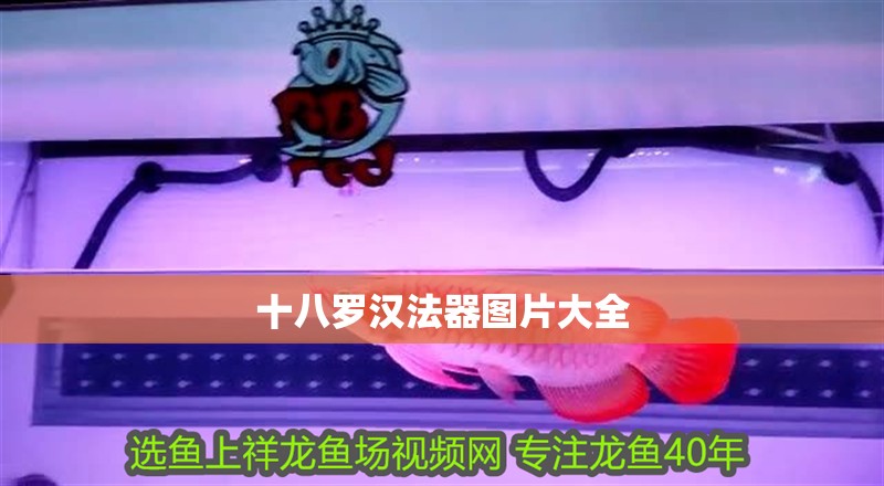 十八羅漢法器圖片大全 十八羅漢法器圖片大全 龍魚論壇