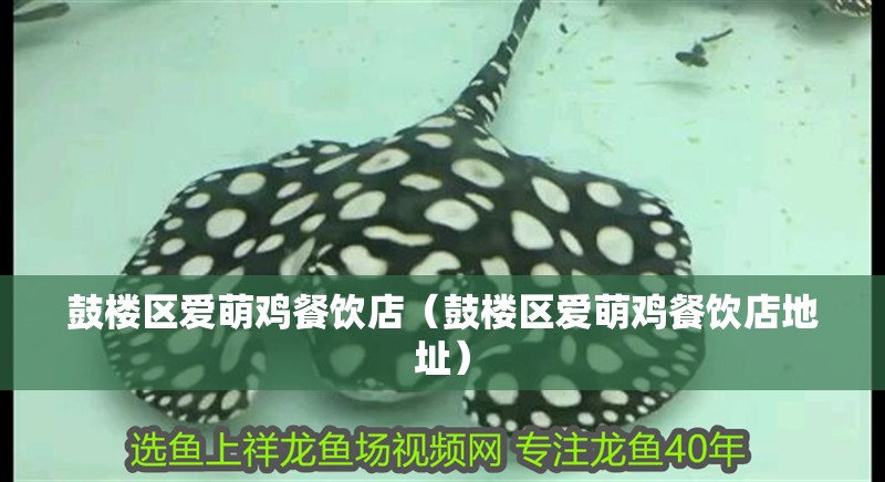 鼓樓區(qū)愛(ài)萌雞餐飲店（鼓樓區(qū)愛(ài)萌雞餐飲店地址）
