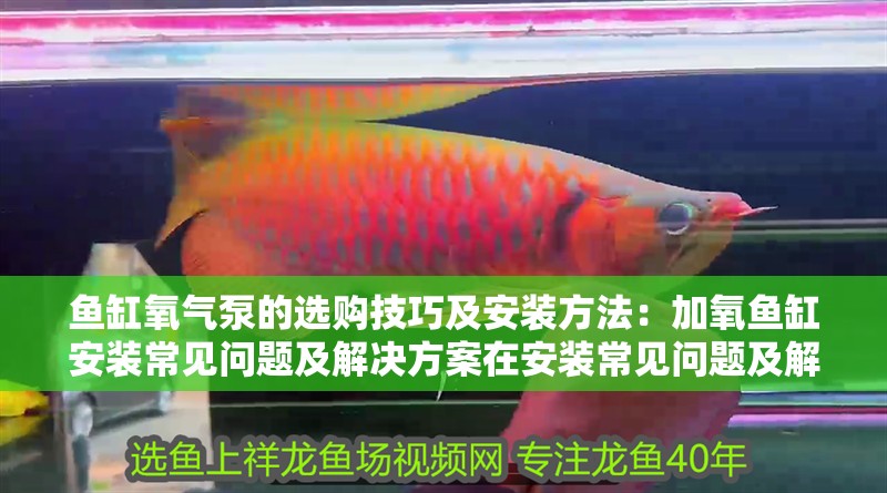 魚缸氧氣泵的選購技巧及安裝方法：加氧魚缸安裝常見問題及解決方案在安裝常見問題及解決方案