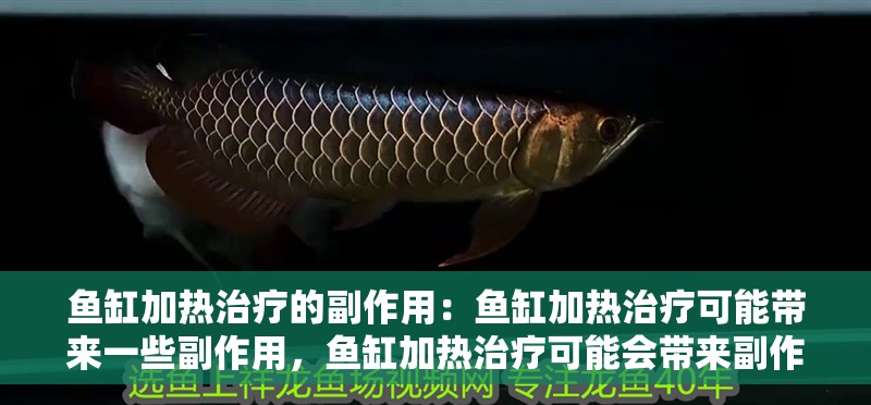 魚缸加熱治療的副作用：魚缸加熱治療可能帶來一些副作用，魚缸加熱治療可能會(huì)帶來副作用