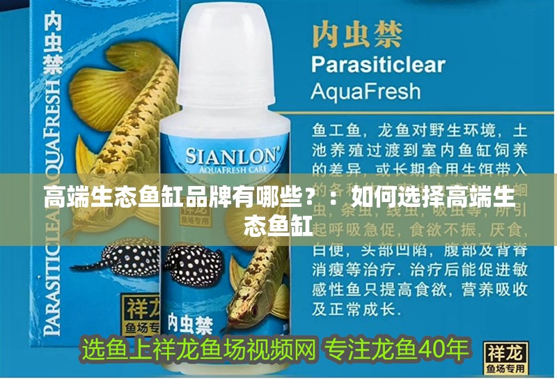 高端生態魚缸品牌有哪些？：如何選擇高端生態魚缸