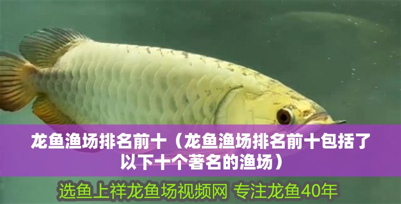 龍魚漁場排名前十（龍魚漁場排名前十包括了以下十個著名的漁場）