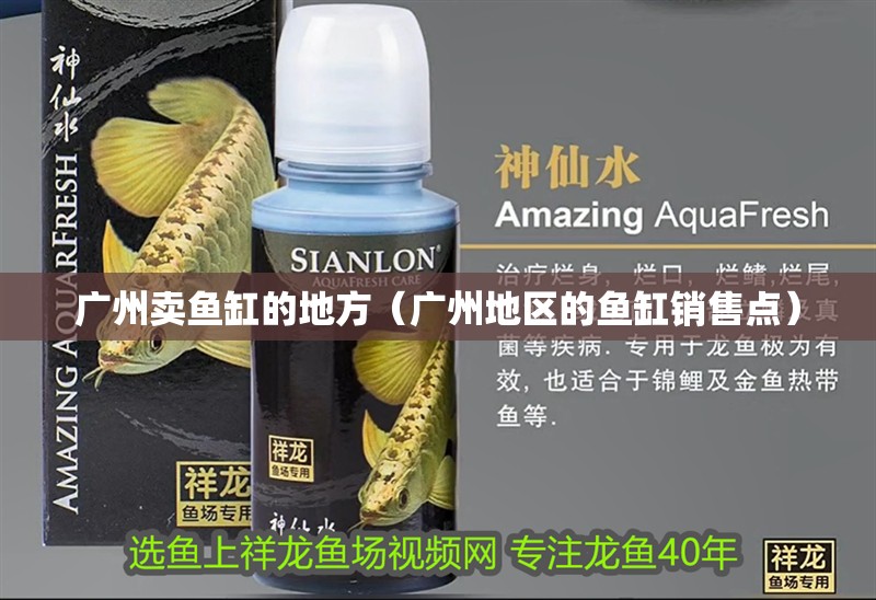 廣州賣魚缸的地方（廣州地區的魚缸銷售點）