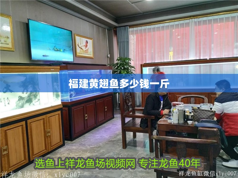 福建黃翅魚多少錢一斤 福建黃翅魚多少錢一斤 龍魚論壇