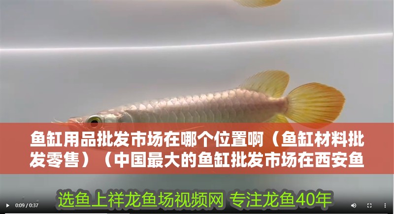魚缸用品批發市場在哪個位置?。~缸材料批發零售）（中國最大的魚缸批發市場在西安魚缸批發市場在哪個位置）