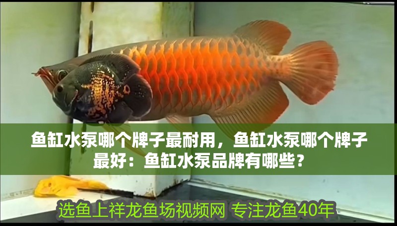 魚缸水泵哪個牌子最耐用，魚缸水泵哪個牌子最好：魚缸水泵品牌有哪些？