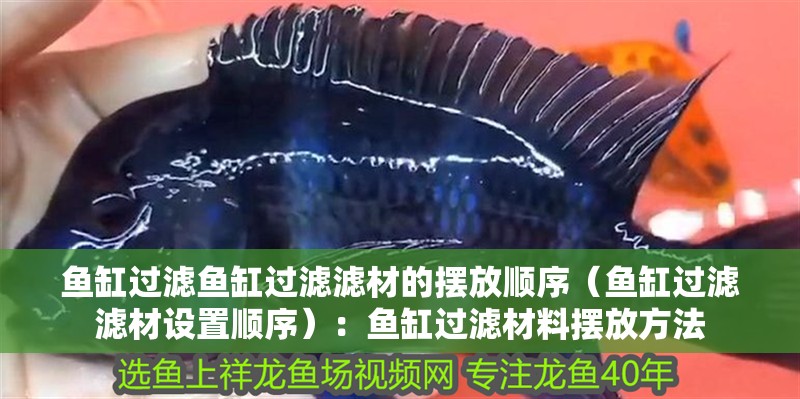 魚缸過濾魚缸過濾濾材的擺放順序（魚缸過濾濾材設(shè)置順序）：魚缸過濾材料擺放方法 魚缸過濾魚缸過濾濾材的擺放順序（魚缸過濾濾材設(shè)置順序）：魚缸過濾材料擺放方法 魚缸百科