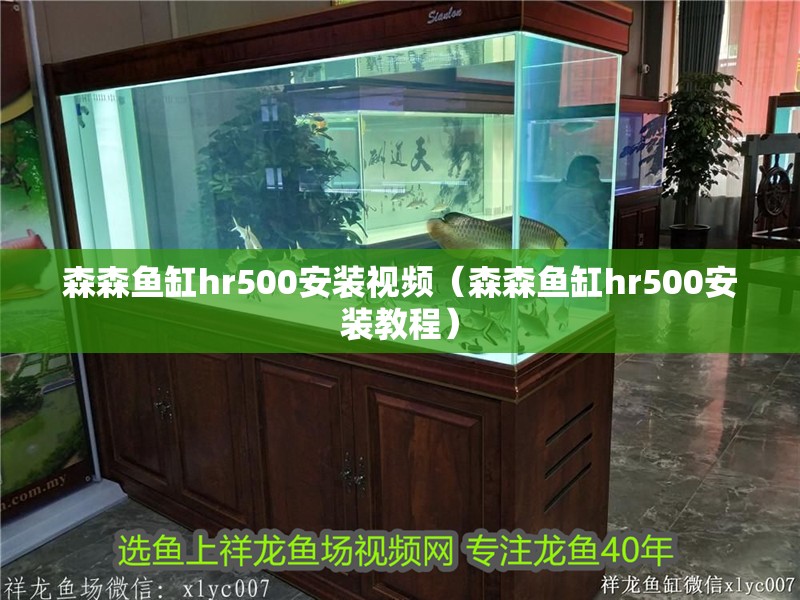 森森魚缸hr500安裝視頻（森森魚缸hr500安裝教程） 森森魚缸hr500安裝視頻（森森魚缸hr500安裝教程） 魚缸百科