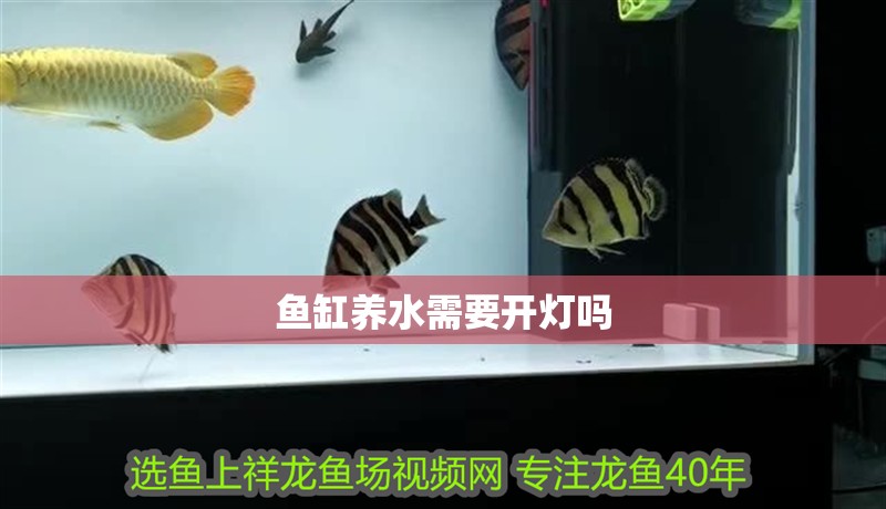 魚缸過濾器選購指南:自制魚缸過濾器魚缸上置過濾器對于養魚愛好者的必備知識 魚缸養水需要開燈嗎 龍魚論壇 魚缸養水需要開燈嗎 魚缸養水需要開燈嗎 龍魚論壇