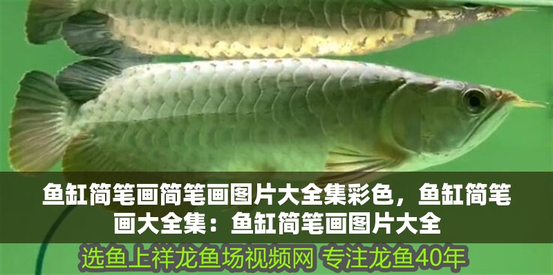 魚缸簡筆畫簡筆畫圖片大全集彩色，魚缸簡筆畫大全集：魚缸簡筆畫圖片大全