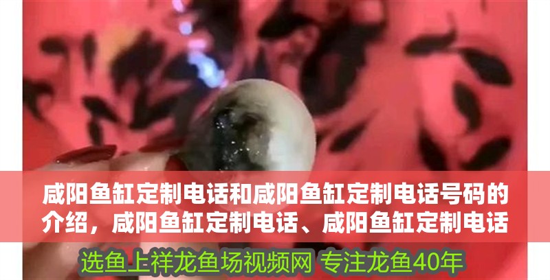 鸚鵡魚和銀龍魚混養(yǎng)怎樣喂食 咸陽魚缸定制電話和咸陽魚缸定制電話號(hào)碼的介紹,咸陽魚缸定制電話、咸陽魚缸定制電話號(hào)碼 全國水族館企業(yè)名錄 咸陽魚缸定制電話和咸陽魚缸定制電話號(hào)碼的介紹,咸陽魚缸定制電話、咸陽魚缸定制電話號(hào)碼 咸陽魚缸定制電話和咸陽魚缸定制電話號(hào)碼的介紹,咸陽魚缸定制電話、咸陽魚缸定制電話號(hào)碼 全國水族館企業(yè)名錄