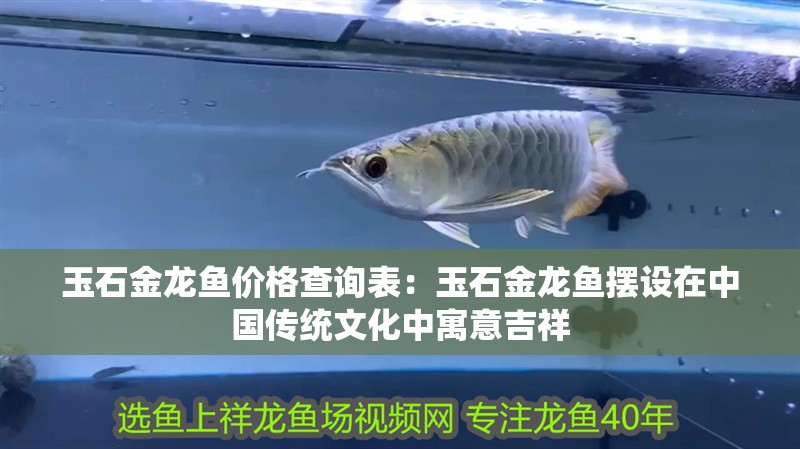 玉石金龍魚價格查詢表：玉石金龍魚擺設在中國傳統文化中寓意吉祥