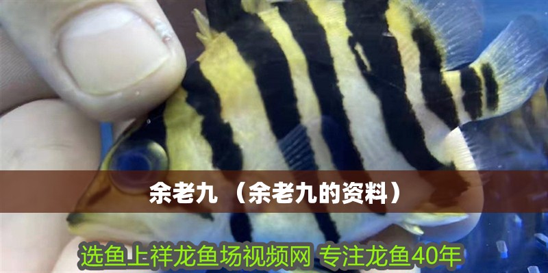 余老九 （余老九的資料）