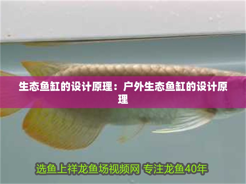 生態(tài)魚缸的設(shè)計(jì)原理：戶外生態(tài)魚缸的設(shè)計(jì)原理 生態(tài)魚缸的設(shè)計(jì)原理：戶外生態(tài)魚缸的設(shè)計(jì)原理 魚缸百科