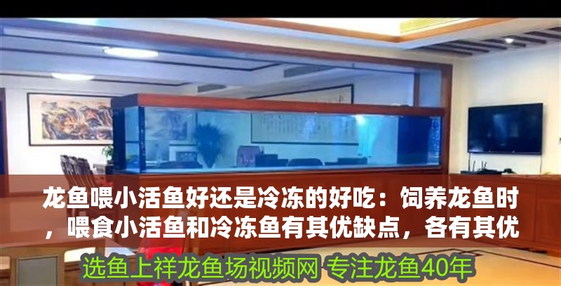 龍魚喂小活魚好還是冷凍的好吃：飼養龍魚時，喂食小活魚和冷凍魚有其優缺點，各有其優缺點