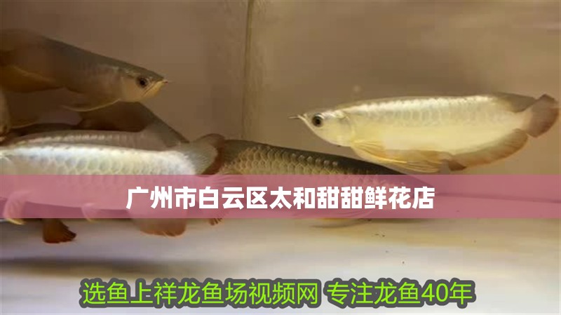 廣州市白云區(qū)太和甜甜鮮花店 廣州市白云區(qū)太和甜甜鮮花店 全國水族館企業(yè)名錄