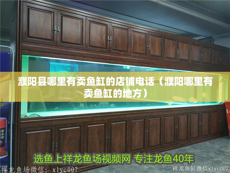 濮陽縣哪里有賣魚缸的店鋪電話（濮陽哪里有賣魚缸的地方）