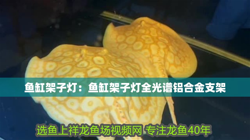 魚缸架子燈：魚缸架子燈全光譜鋁合金支架