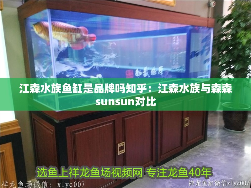 江森水族魚缸是品牌嗎知乎：江森水族與森森sunsun對比