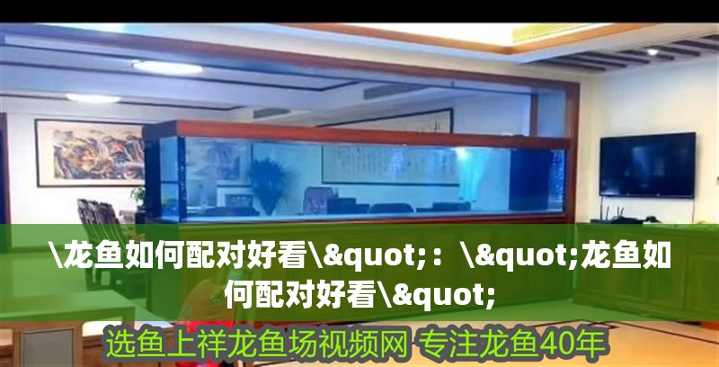 \龍魚如何配對好看\"：\"龍魚如何配對好看\"