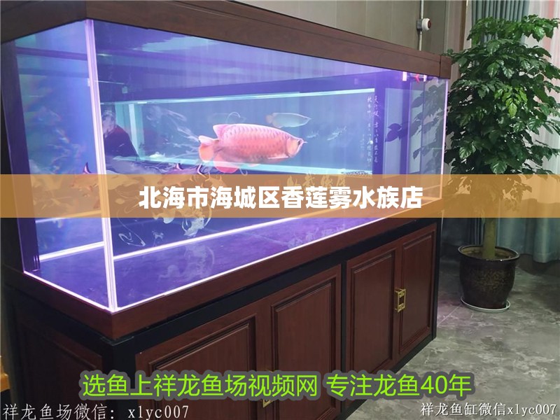 <strong><mark>北海</mark></strong>市海城區香蓮霧水族店