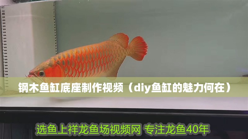 鋼木魚缸底座制作視頻（diy魚缸的魅力何在） 鋼木魚缸底座制作視頻（diy魚缸的魅力何在） 魚缸百科