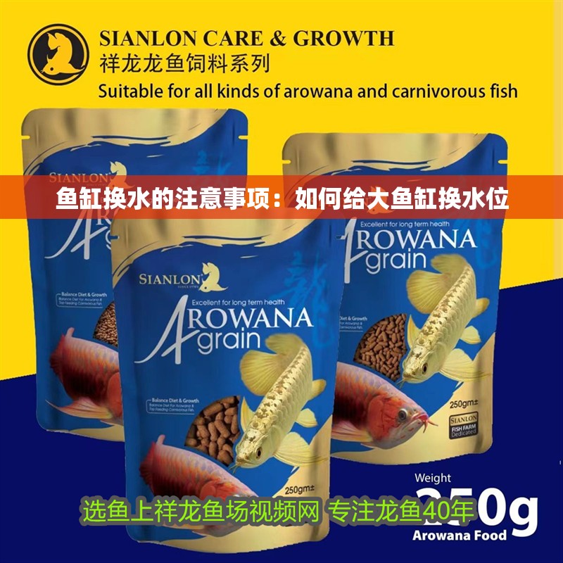 魚缸換水的注意事項(xiàng)：如何給大魚缸換水位