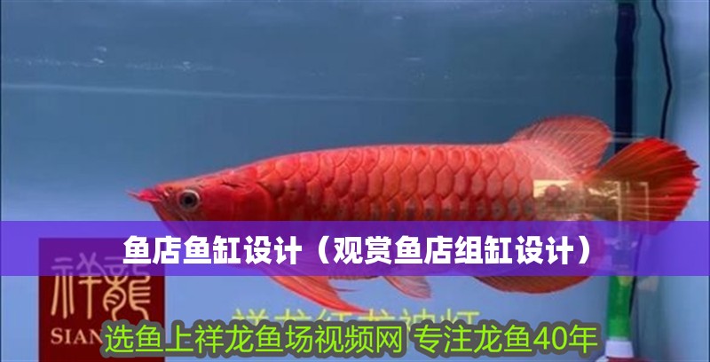 魚店魚缸設計（觀賞魚店組缸設計）