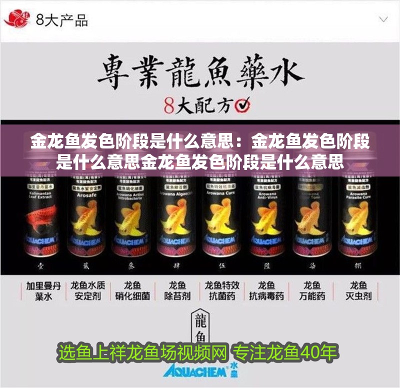 金龍魚發色階段是什么意思：金龍魚發色階段是什么意思金龍魚發色階段是什么意思 金龍魚發色階段是什么意思：金龍魚發色階段是什么意思金龍魚發色階段是什么意思 龍魚百科