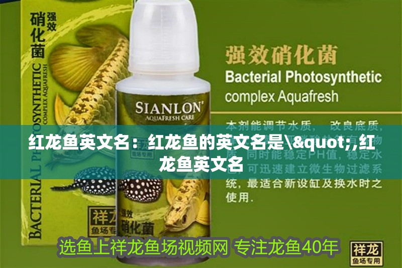 紅龍魚英文名：紅龍魚的英文名是\",紅龍魚英文名
