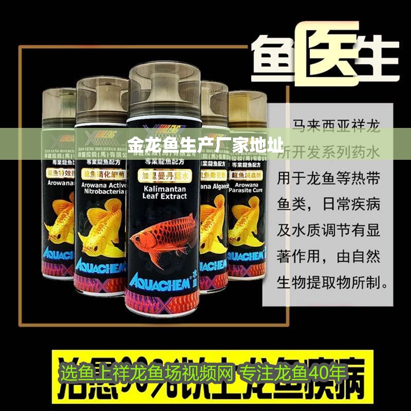 金龍魚生產廠家地址