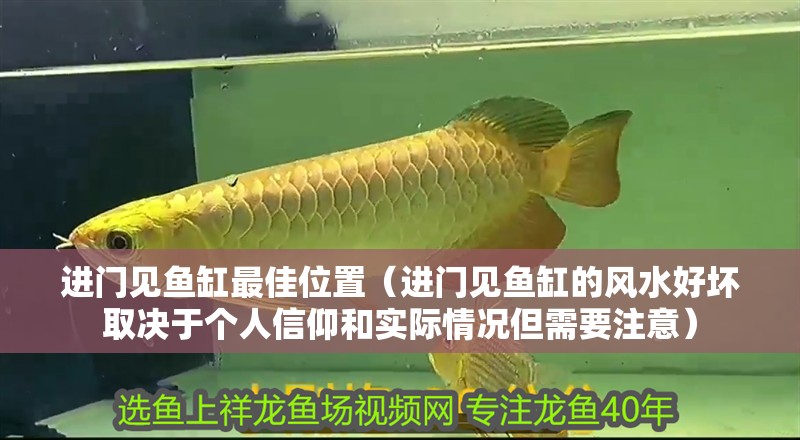我的虎魚真菌感染了要怎么處理 進門見魚缸最佳位置(進門見魚缸的風水好壞取決于個人信仰和實際情況但需要注意) 魚缸百科 進門見魚缸最佳位置(進門見魚缸的風水好壞取決于個人信仰和實際情況但需要注意) 進門見魚缸最佳位置(進門見魚缸的風水好壞取決于個人信仰和實際情況但需要注意) 魚缸百科
