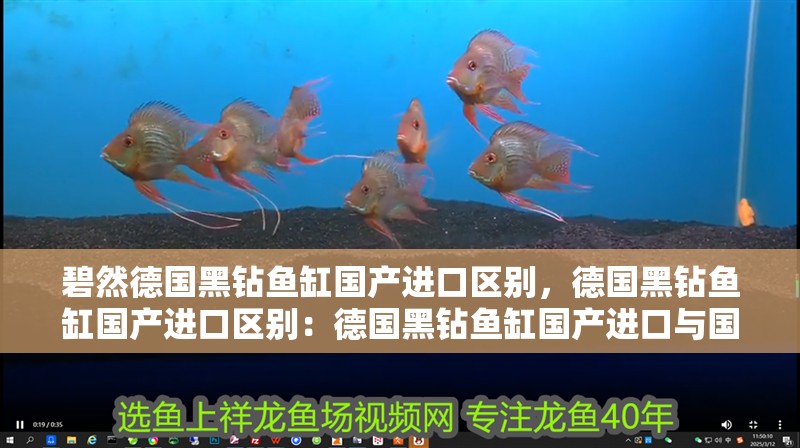 碧然德國(guó)黑鉆魚缸國(guó)產(chǎn)進(jìn)口區(qū)別，德國(guó)黑鉆魚缸國(guó)產(chǎn)進(jìn)口區(qū)別：德國(guó)黑鉆魚缸國(guó)產(chǎn)進(jìn)口與國(guó)產(chǎn)進(jìn)口區(qū)別 碧然德國(guó)黑鉆魚缸國(guó)產(chǎn)進(jìn)口區(qū)別，德國(guó)黑鉆魚缸國(guó)產(chǎn)進(jìn)口區(qū)別：德國(guó)黑鉆魚缸國(guó)產(chǎn)進(jìn)口與國(guó)產(chǎn)進(jìn)口區(qū)別 魚缸百科