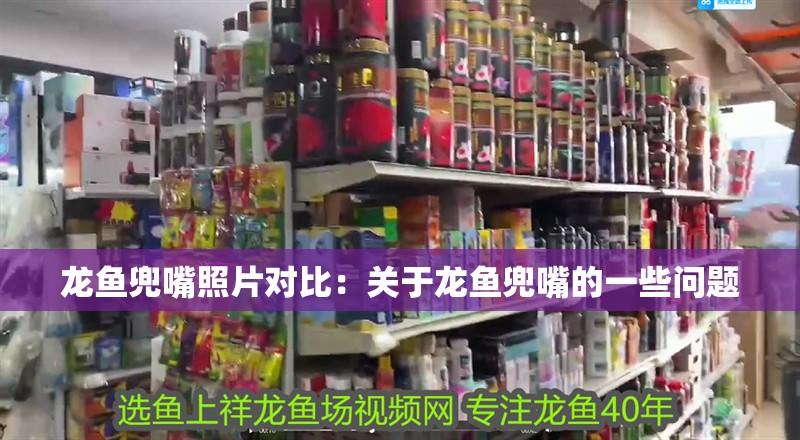 龍魚(yú)兜嘴照片對(duì)比：關(guān)于龍魚(yú)兜嘴的一些問(wèn)題