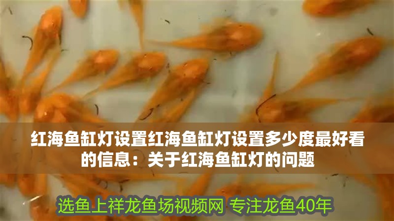紅海魚缸燈設置紅海魚缸燈設置多少度最好看的信息：關于紅海魚缸燈的問題
