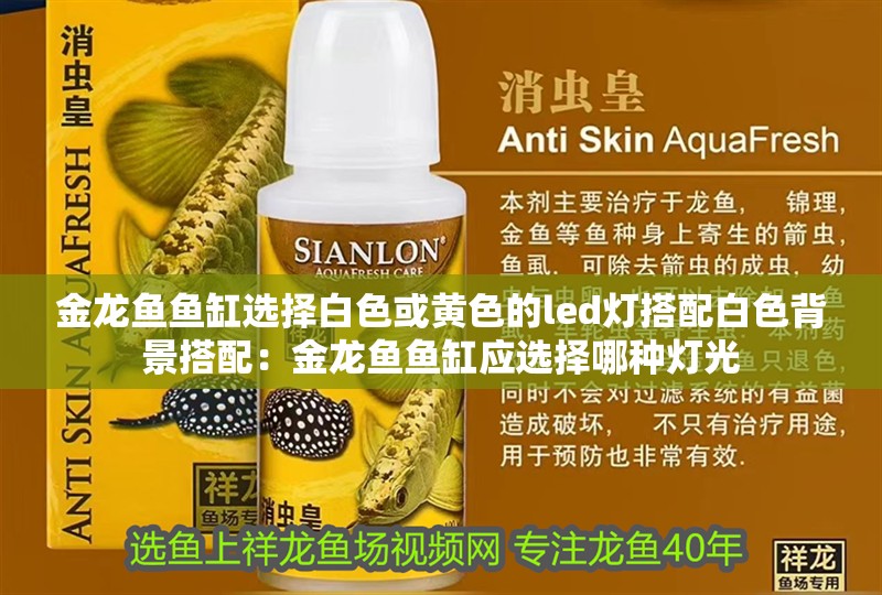 金龍魚魚缸選擇白色或黃色的led燈搭配白色背景搭配：金龍魚魚缸應(yīng)選擇哪種燈光